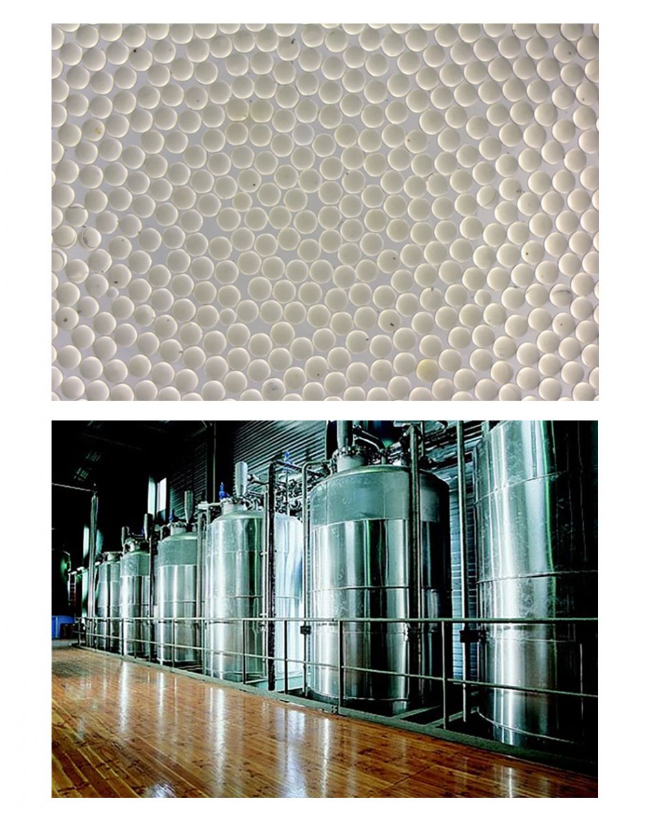 人生就是博·(中国区)官方网站