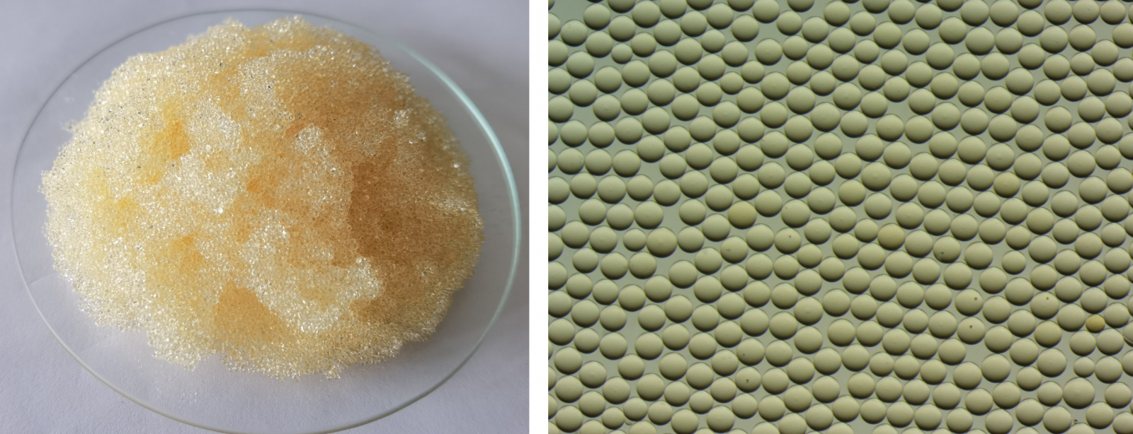 人生就是博·(中国区)官方网站